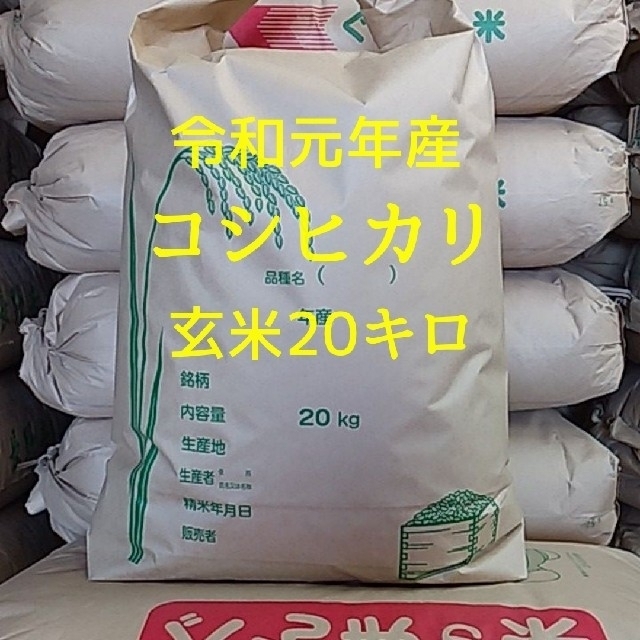令和元年産コシヒカリ！玄米20キロ！精米無料！