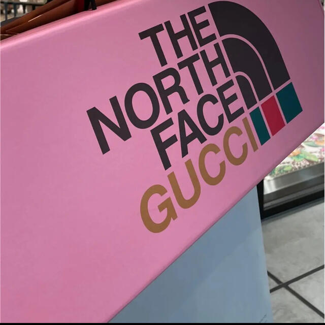 GUCCI THE NORTH FACE グッチコラボマフラー