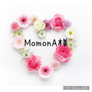 MomonA様＊専用ページ(ポーチ)