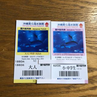 美ら海水族館　チケット　大人1枚（＋小中学生1枚おまけ）(水族館)