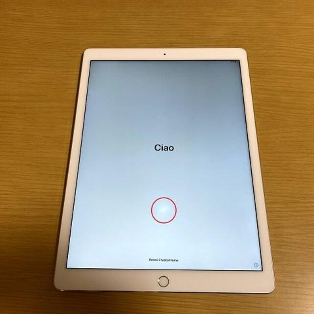 iPad Pro 第１世代 32GB Wi-Fiモデル Pen付