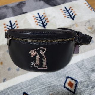 コーチ(COACH)のCOACH　ボディーバッグ(ボディバッグ/ウエストポーチ)