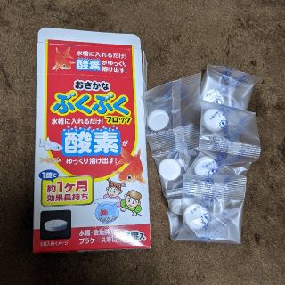 おさかなぶくぶくブロック(アクアリウム)