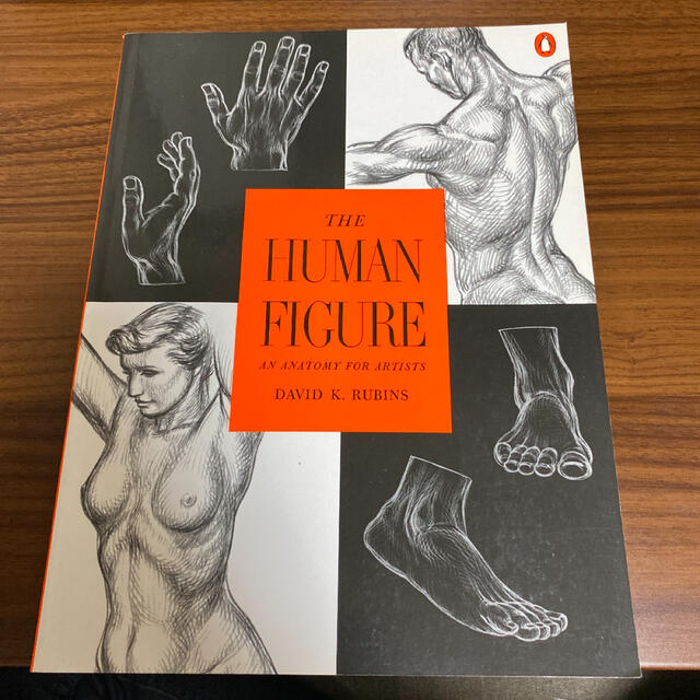 The Human Figure エンタメ/ホビーの本(洋書)の商品写真