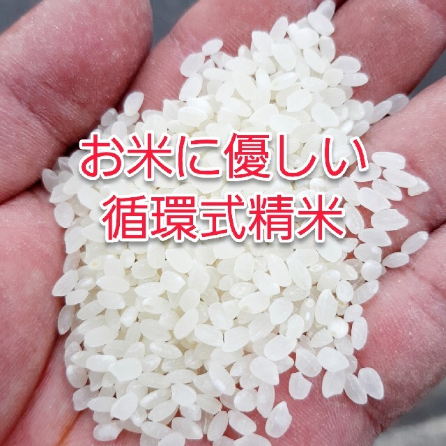 《農薬８割減》新米コシヒカリ10kg③ 食品/飲料/酒の食品(米/穀物)の商品写真