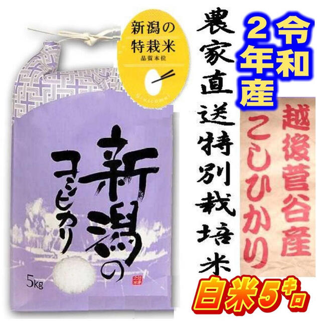 令和2年産　新米・新潟コシヒカリ・新潟県認証特別栽培米1等白米5キロ 1個17 食品/飲料/酒の食品(米/穀物)の商品写真