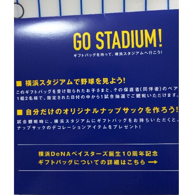 横浜DeNAベイスターズ(ヨコハマディーエヌエーベイスターズ)の横浜DeNAベイスターズ誕生10周年記念　ギフトパック スポーツ/アウトドアの野球(応援グッズ)の商品写真