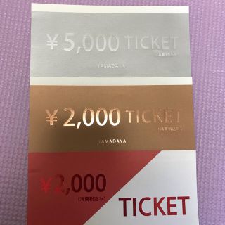 スコットクラブ(SCOT CLUB)のヤマダヤ　福袋　チケット　9,000円分(その他)