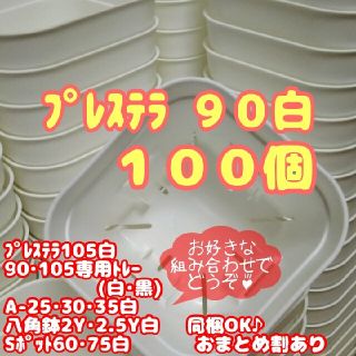 【スリット鉢】プレステラ90白100個 多肉植物 プラ鉢(プランター)