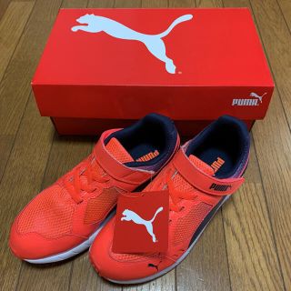 プーマ(PUMA)の新品　未使用　PUMA スピードモンスター V3  23.0㎝、22.5㎝(スニーカー)