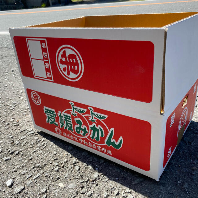 赤猫3様　専用　愛媛県　はれひめ　5kg 食品/飲料/酒の食品(フルーツ)の商品写真