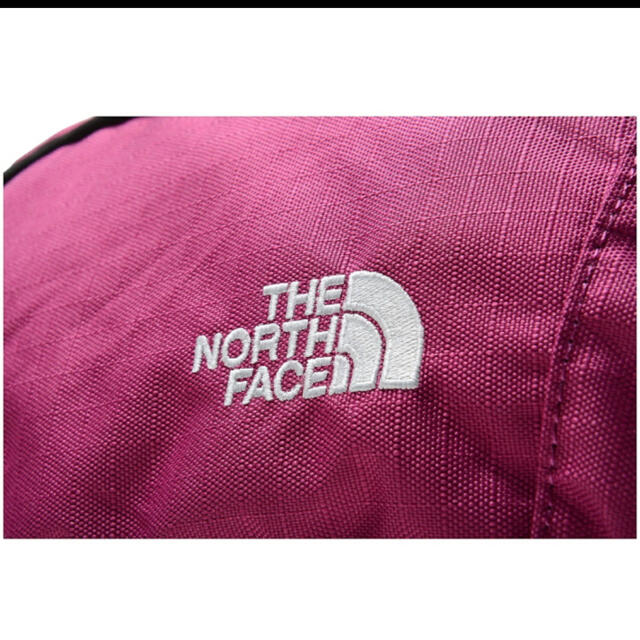 THE NORTH FACE(ザノースフェイス)の☆ツリー様専用☆ レディースのバッグ(ボディバッグ/ウエストポーチ)の商品写真