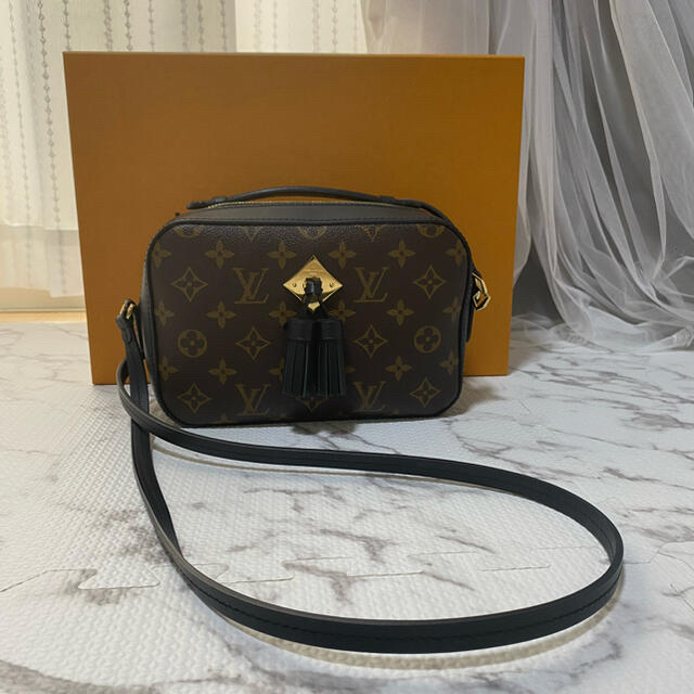 LOUIS VUITTON(ルイヴィトン)のルイヴィトン　サントンジュ レディースのバッグ(ショルダーバッグ)の商品写真