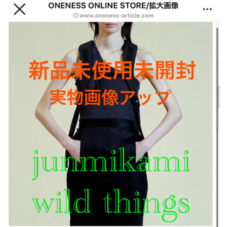 ワイルドシングス(WILDTHINGS)のjunmikami ジュンミカミ♡fumika uchida roku 6(リュック/バックパック)