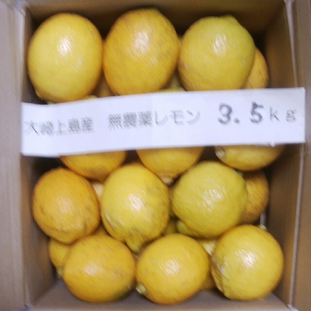 *puaさん専用　広島県大崎上島無農薬レモン　3.5kg 食品/飲料/酒の食品(フルーツ)の商品写真