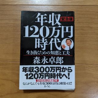 年収１２０万円時代 生き抜くための知恵と工夫(ビジネス/経済)