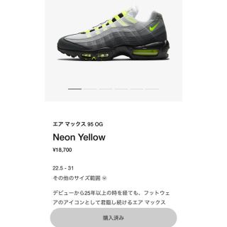 ナイキ(NIKE)のnike airmax95 27cm(スニーカー)