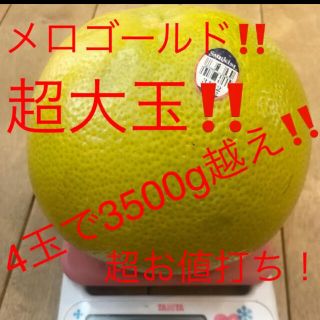 メロゴールド　超大玉　4玉 3500g越え(フルーツ)