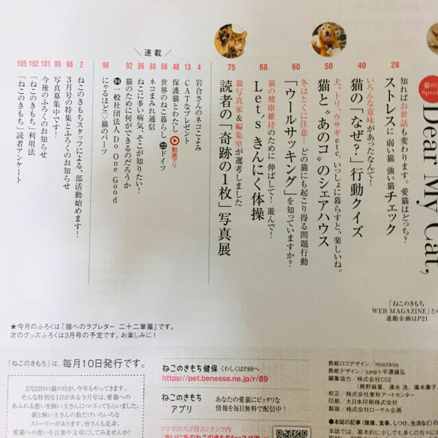 ねこのきもち 2月号  エンタメ/ホビーの雑誌(専門誌)の商品写真