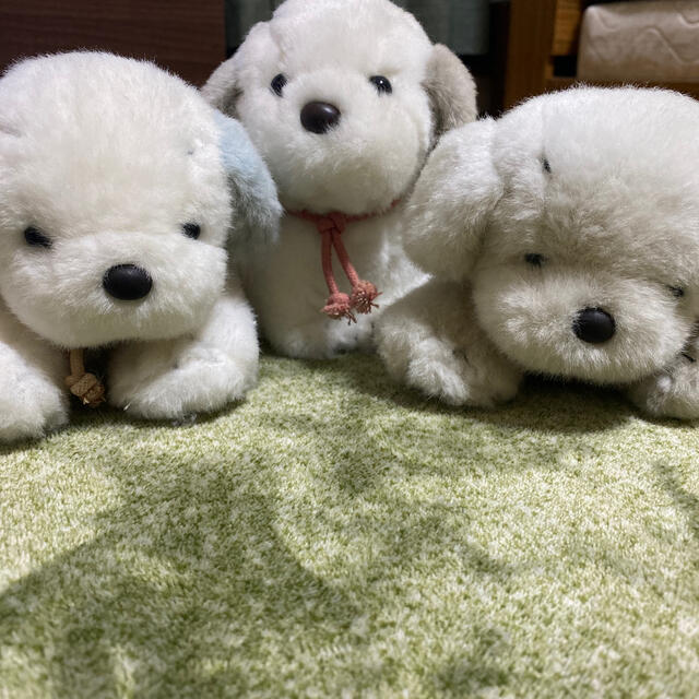 うめきちぬいぐるみ3体 エンタメ/ホビーのおもちゃ/ぬいぐるみ(ぬいぐるみ)の商品写真