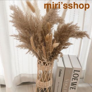 パンパスグラス　rio様専用ページ☆(ドライフラワー)
