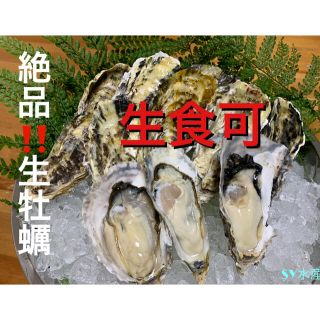 絶品　生牡蠣　カキ　10キロ(約100個前後)軍手ナイフ付　伊万里湾産　送料無料(魚介)