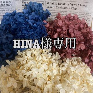 HINA様専用(ドライフラワー)