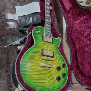 ギブソン(Gibson)の超激レアGibson(ギブソン)Custom Shop イグアナバースト(エレキギター)