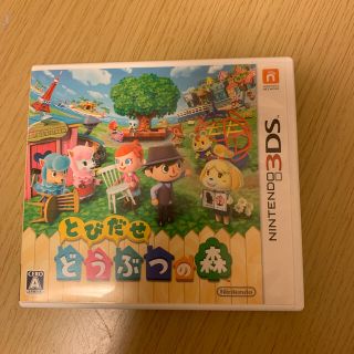 ニンテンドー3DS(ニンテンドー3DS)のとびだせ どうぶつの森 3DS(その他)