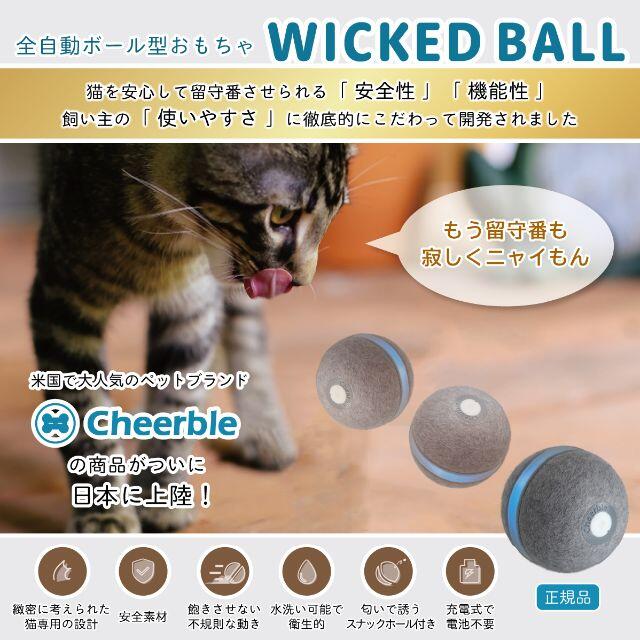 ネコ おもちゃ  ウィキッドボール 自動で動き LED光る 電動ボール  新品