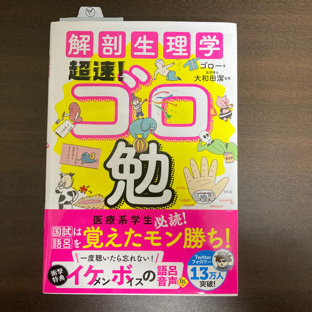 解剖生理学超速！ゴロ勉 エンタメ/ホビーの本(健康/医学)の商品写真