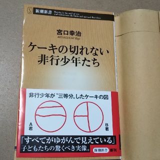 ケーキの切れない非行少年たち(人文/社会)