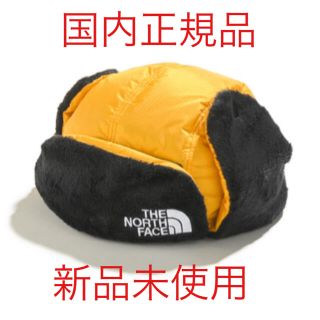 ザノースフェイス(THE NORTH FACE)のノースフェイス　ヒムフリースキャップ(ニット帽/ビーニー)