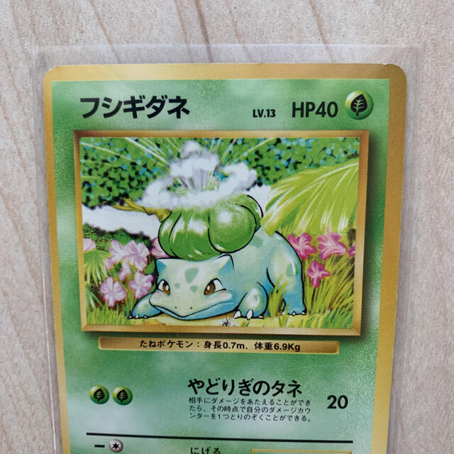 【特価祭】ポケモンカード 旧裏 初版　フシギダネ　美品