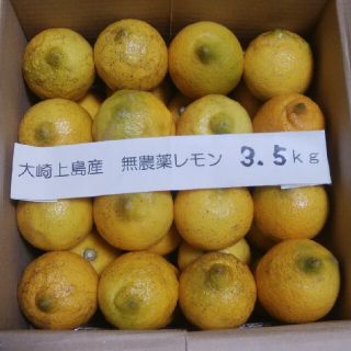 広島県大崎上島無農薬レモン　3.5kg(フルーツ)