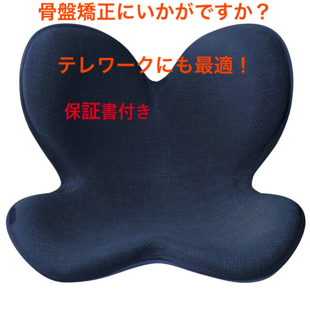 MTG 骨盤サポートチェア Body Make Seat Style