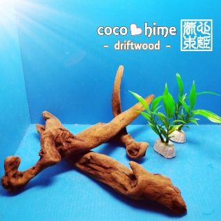 DW-25【流木3本＆オマケ流木Ｏ】※バラ売りもしております(アクアリウム)