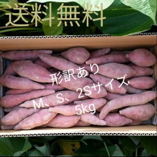 送料無料☆なると金時 形訳ありM、S、2Sサイズ 5kg 産地直送(野菜)