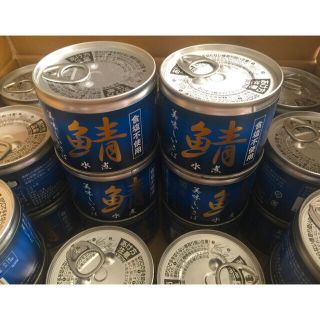 鯖缶 水煮 伊藤食品  24缶セット サバ缶 190ｇ(缶詰/瓶詰)