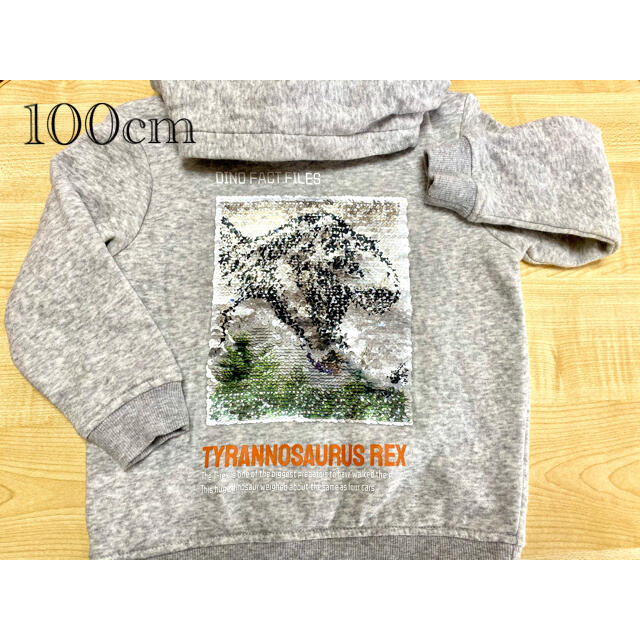 H&M(エイチアンドエム)のH&M パーカー　恐竜柄 キッズ/ベビー/マタニティのキッズ服男の子用(90cm~)(Tシャツ/カットソー)の商品写真