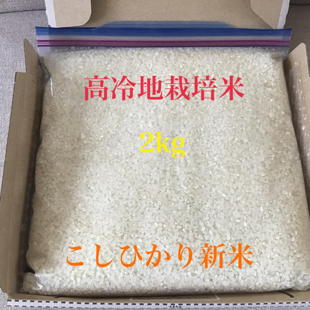 高冷地栽培米 2kg こしひかり新米 島根県産 食品/飲料/酒の食品(米/穀物)の商品写真