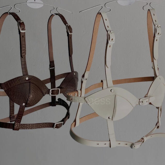 herpraha litmus bra harnessの通販 by に子's shop｜ラクマ