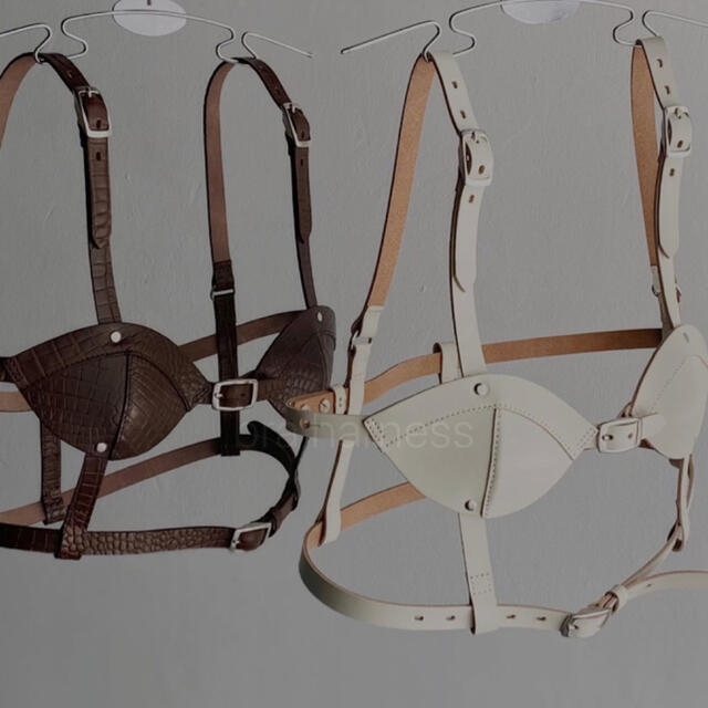 herpraha litmus bra harness