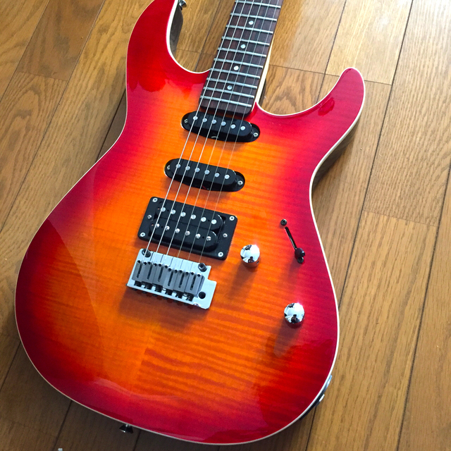 Fernandes FR 45