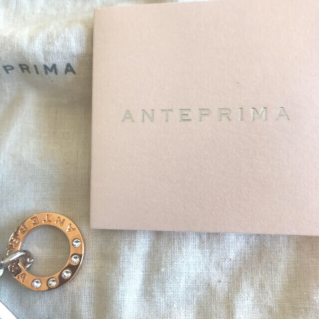 ANTEPRIMA(アンテプリマ)の999コレクション  ANTEPRIMA アンテプリマ  スタンダードポーチ レディースのファッション小物(ポーチ)の商品写真