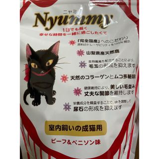 【未開封】 Nyummy ニャミー キャットフード 500g(ペットフード)