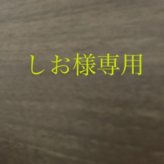 しお様専用(その他)