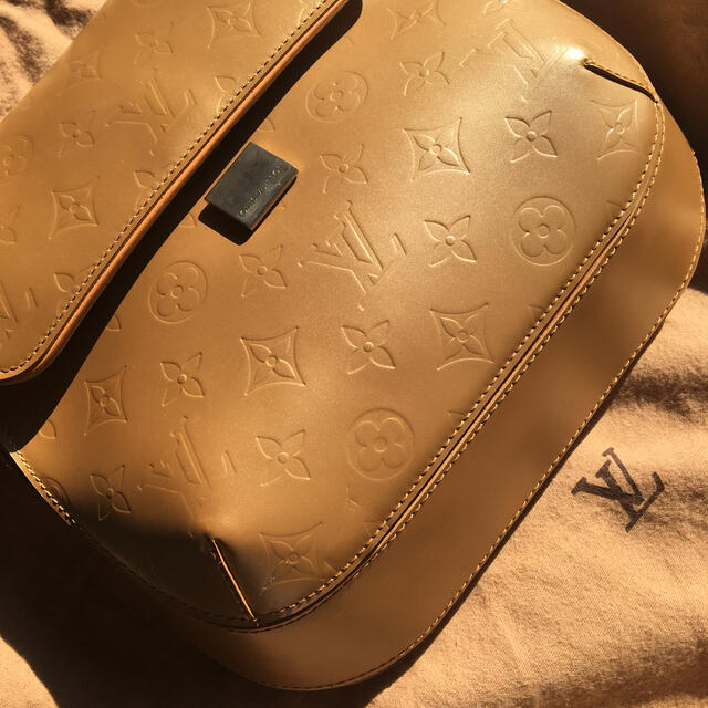 LV ウェブスターストリート　ショルダーバッグ 3