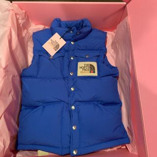 グッチ(Gucci)のGucci×The North Face  ダウンベスト　ブルー(ダウンベスト)