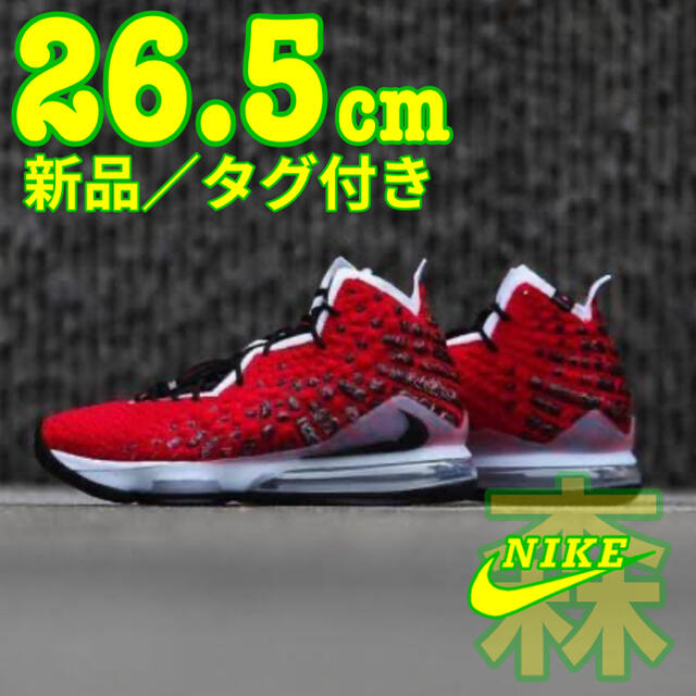 NIKE スニーカー　ナイキスニーカー　レブロン　レブロン17 LEBRON